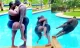 Terrence Creative Breaks Kenyan Ribs With His Funny Swimming Pool Challenge