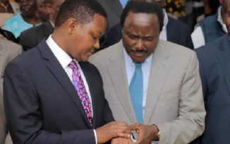 Alfred Mutua Left With A Rotten Egg On His Face After Killing Kalonzo's Wife On Social Media