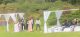 Rapper Juliani Marries Alfred Mutua's EX-Wife Lilian Ng'ang'a (Wedding Photos & Video)